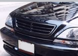 1999-2003 Lexus RX300 Grill #595GR